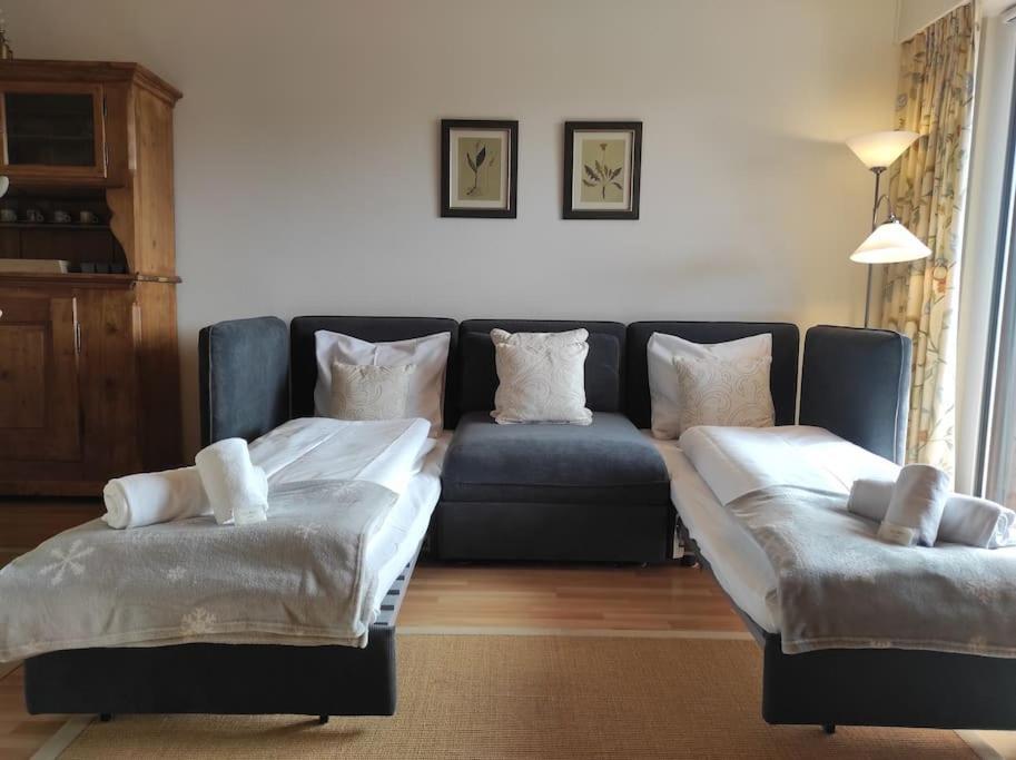 Attic Gem With Unbeatable Moubra View Crans-Montana